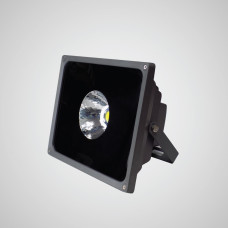 Proiector LED 1x50W COB 220V Pro