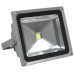 Proiector LED 30W Alimentare 12V